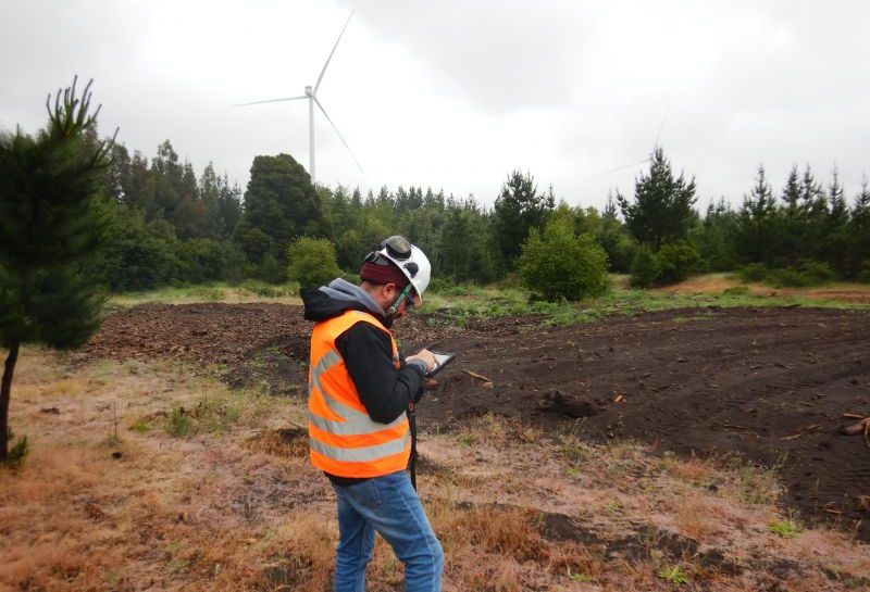 SMA formula cargos contra parque eólico por incumplimientos a su permiso ambiental