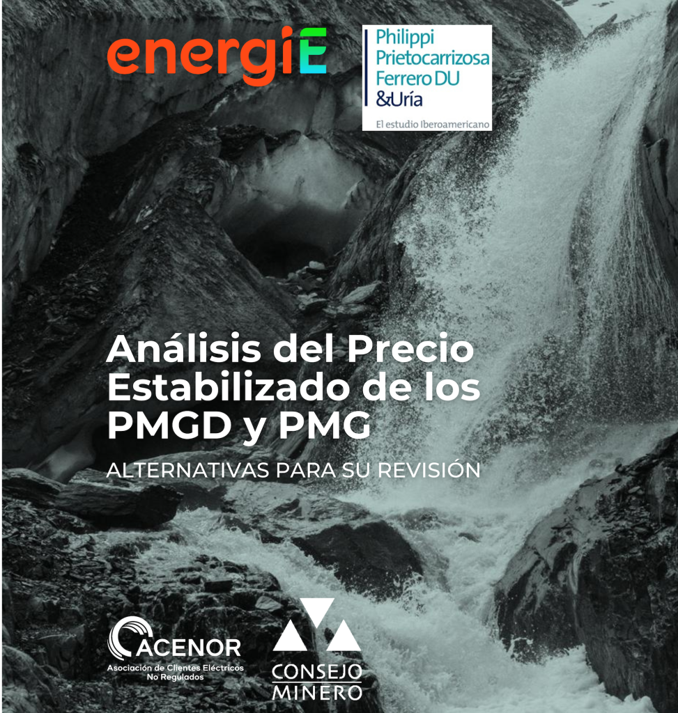 Estudio de Acenor advierte impacto del precio estabilizado PMGD en costos de la electricidad