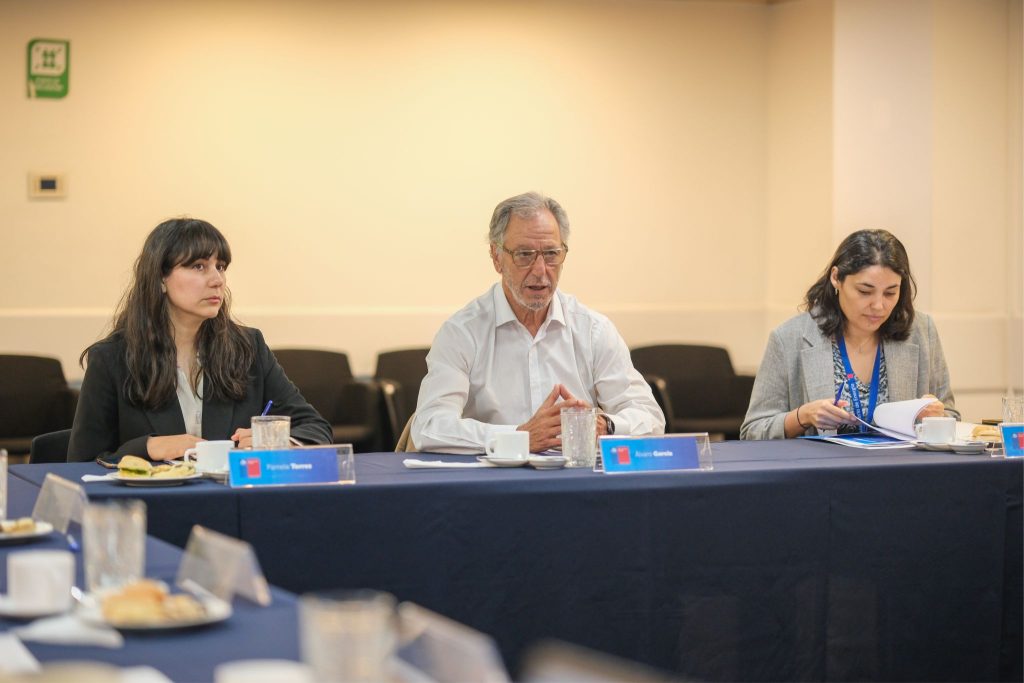 Comité de expertos del sector eléctrico define reformas prioritarias que serán presentadas al próximo gobierno