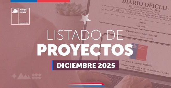 Comisiones de Evaluación Ambiental califican 38 proyectos durante diciembre por más de US$6.700 millones
