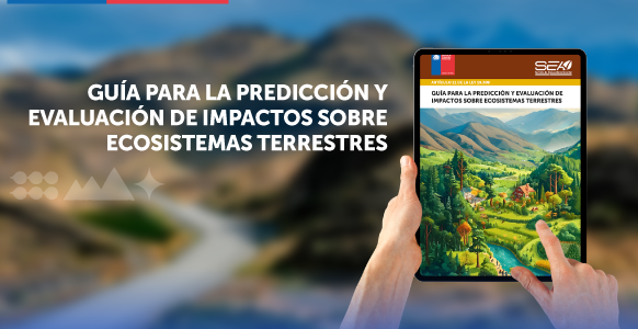 Entra en vigencia guía del SEA para la evaluación de impactos en ecosistemas terrestres