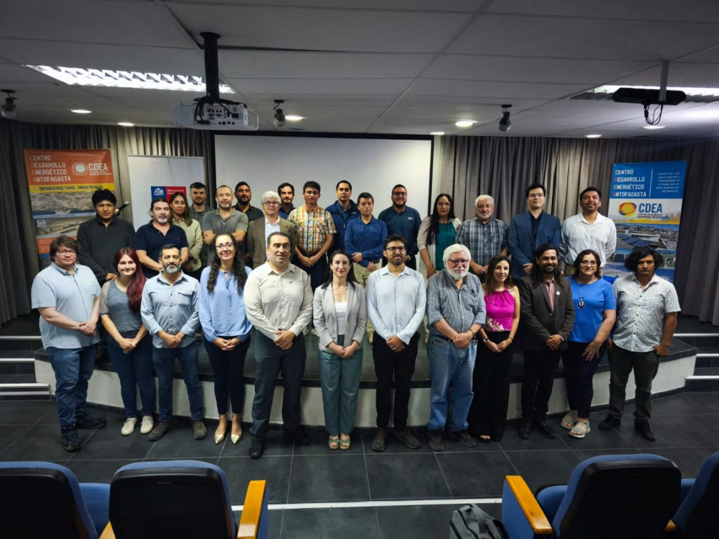 Ministerio de Energía destaca cooperación internacional para fortalecer desarrollo de hidrógeno verde en Chile