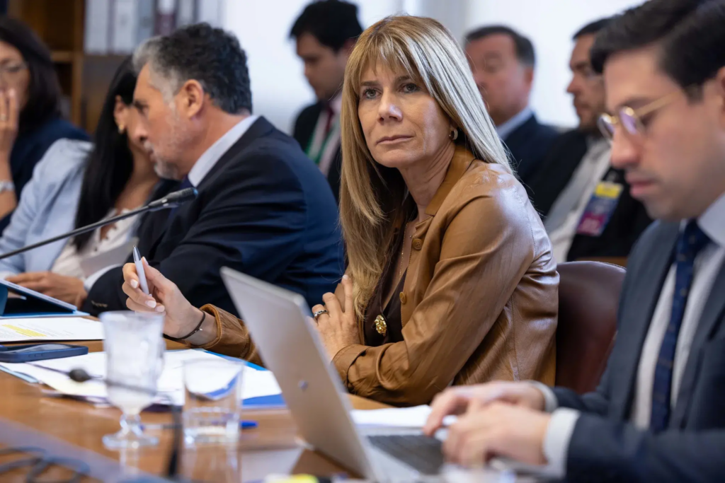 Ministra Rincón presenta agenda legislativa en energía a Comisión del Senado