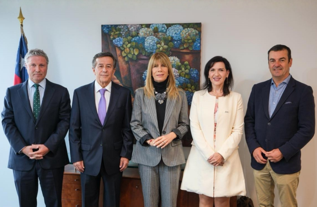 Acera presenta a ministra Rincón una agenda de propuestas para impulsar la electrificación y la seguridad energética