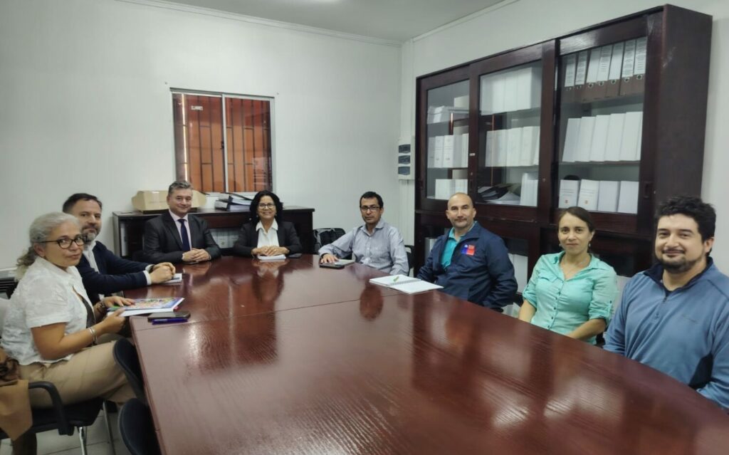 Atacama: Comité técnico revisa proyecto eléctrico en proceso de evaluación ambiental